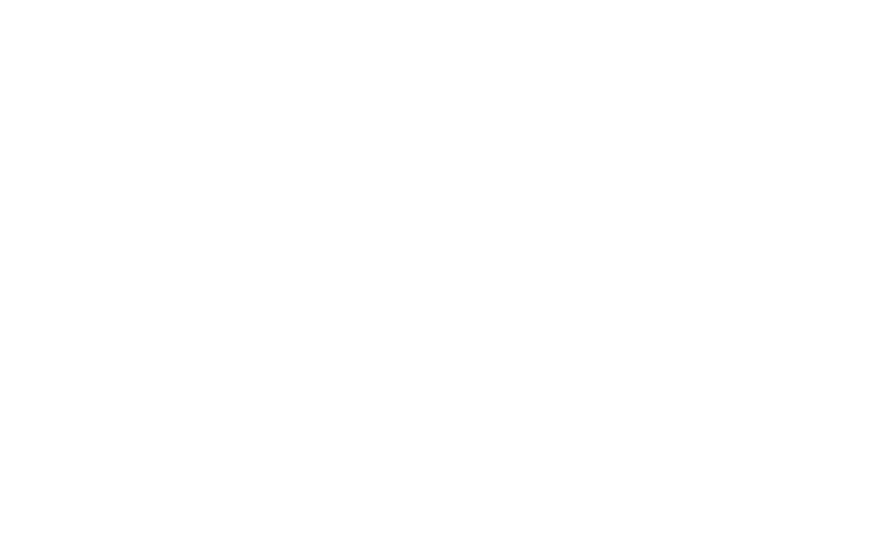 logo-sajt-portfolio-10