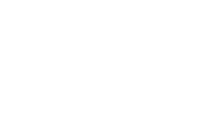 logo-sajt-portfolio-11