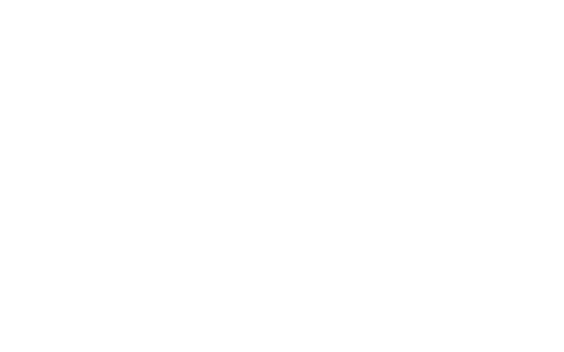 logo-sajt-portfolio-13